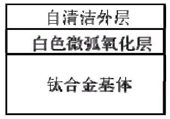 一种钛合金口腔修复体表面美白自清洁涂层及其制备方法