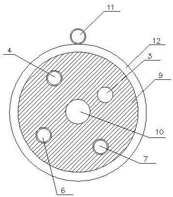 一种内镜及具有外置钳子管道的内镜插管结构