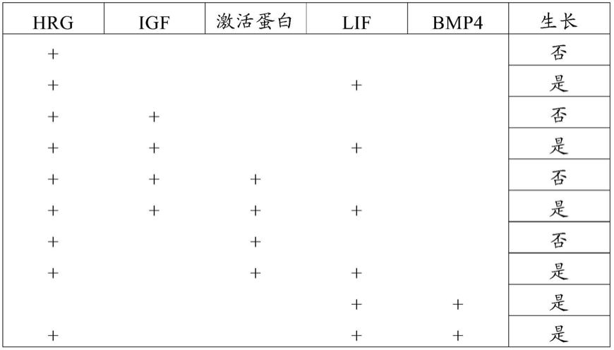 用于培养可分化细胞的组合物和方法与流程