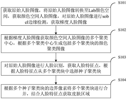 皮肤区域检测方法、系统、图像处理终端和存储介质与流程