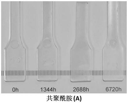 用于耐次氯酸盐的应用的聚酰胺模塑料的制作方法