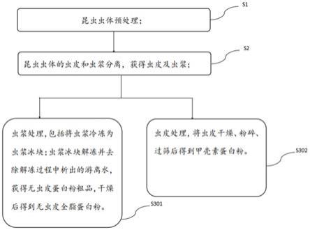 一种基于昆虫的蛋白粉制品的制备方法和应用与流程