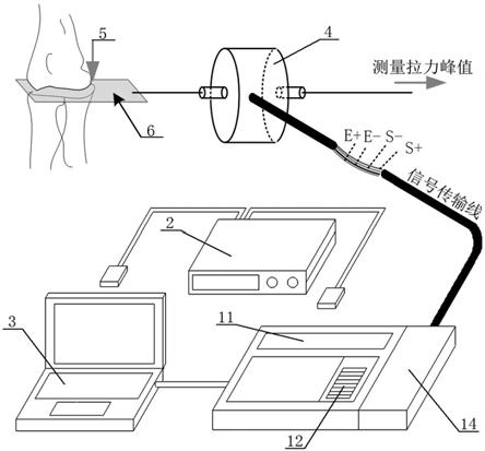 一种基于拉力与压力关系模型的骨间压力测量系统及方法