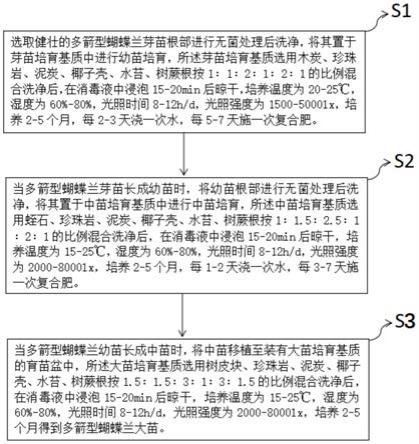一种多箭型蝴蝶兰的培育方法与流程