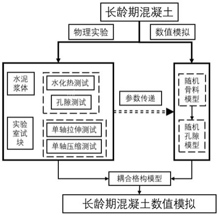 一种基于耦合格构模型的长龄期混凝土开裂模拟方法与流程