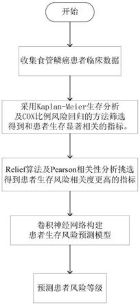 一种基于卷积神经网络的食管鳞癌患者生存风险预测方法