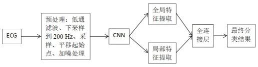 一种基于卷积神经网络的多导联心电信号分类方法与流程