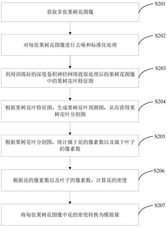 果树花量智能视觉识别方法、装置、系统及存储介质