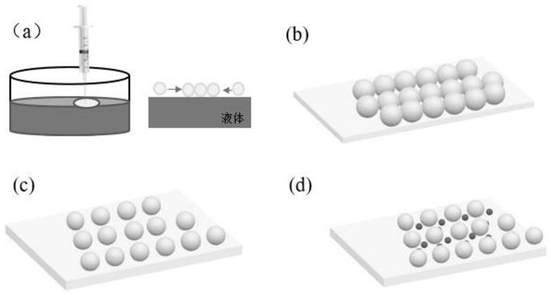 一种二维复合胶体晶体光子器件的制备方法