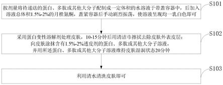 可介导生物大分子透皮吸收的组合剂、制备方法及应用与流程