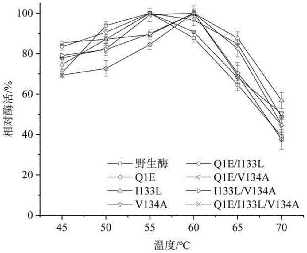 耐酸1,3-1,4-β-葡聚糖酶突变体