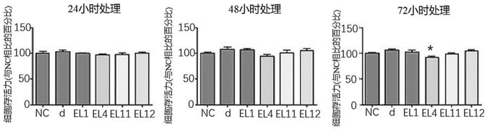 用于促进结缔组织中弹性蛋白和胶原蛋白生物合成的组合物的制作方法