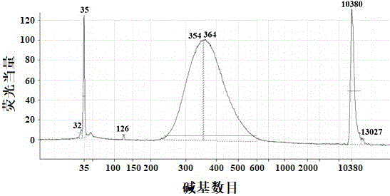 一种病原耐药基因的存在及表达情况的共检测方法与流程