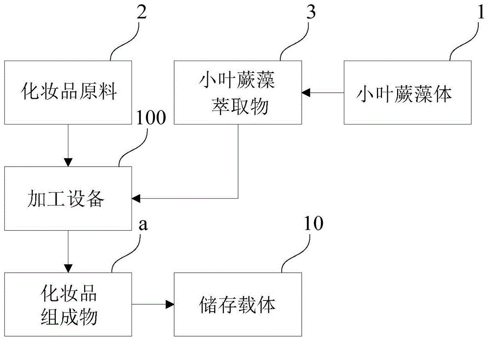 小叶蕨藻萃取物及其添加产品