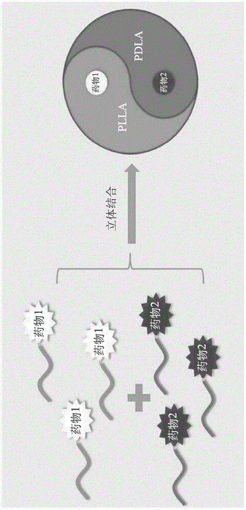 用于递送抗癌剂的立体复合物的制作方法