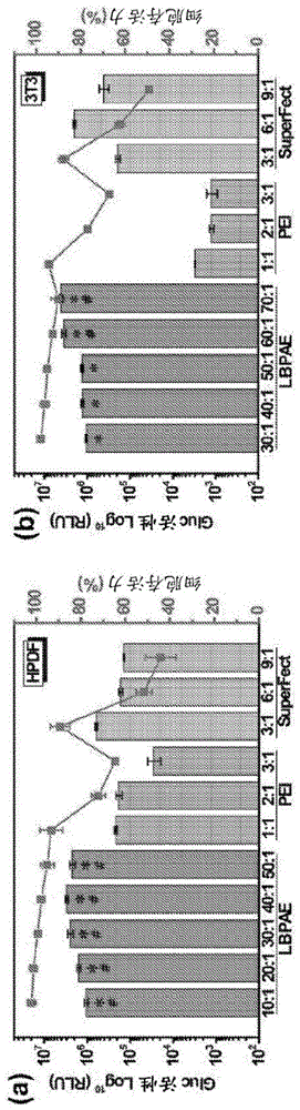 用于转染细胞的组合物和方法与流程