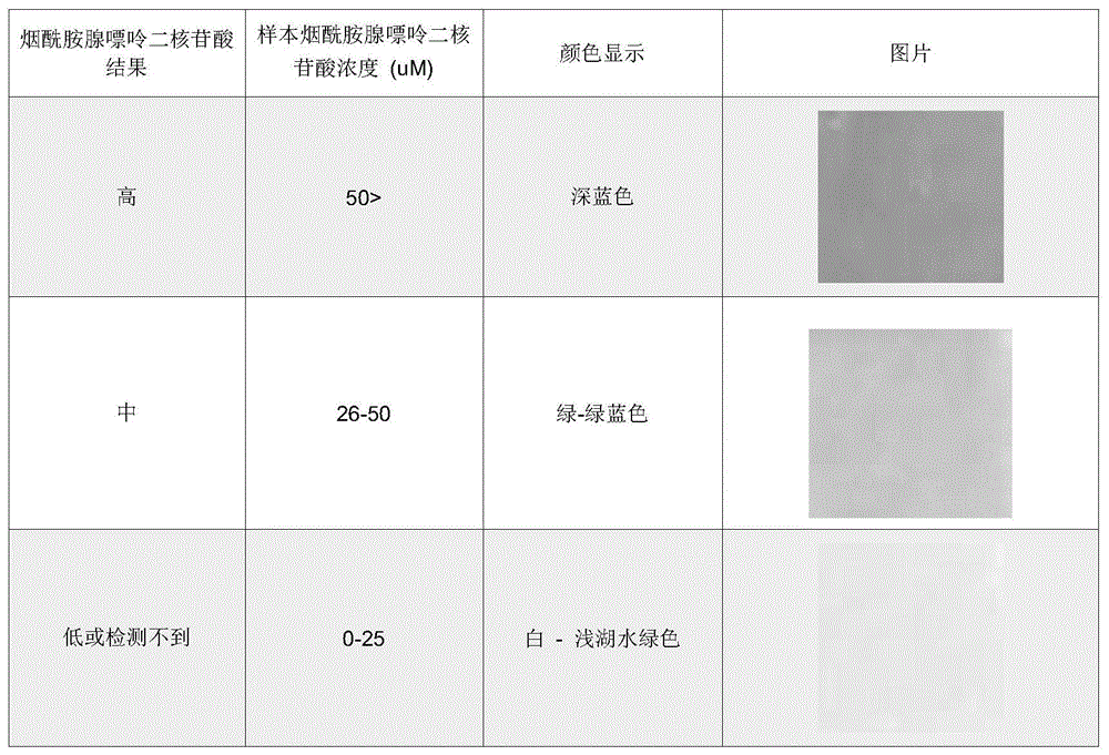 检测生理活性物质的方法以及检测工具与流程