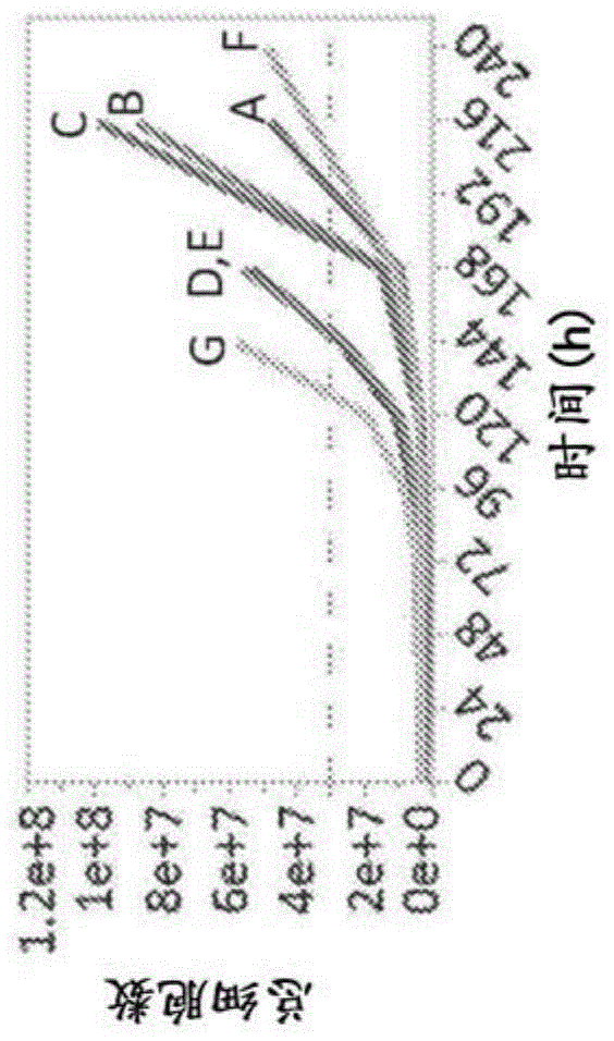 产生基因工程化T细胞的方法与流程