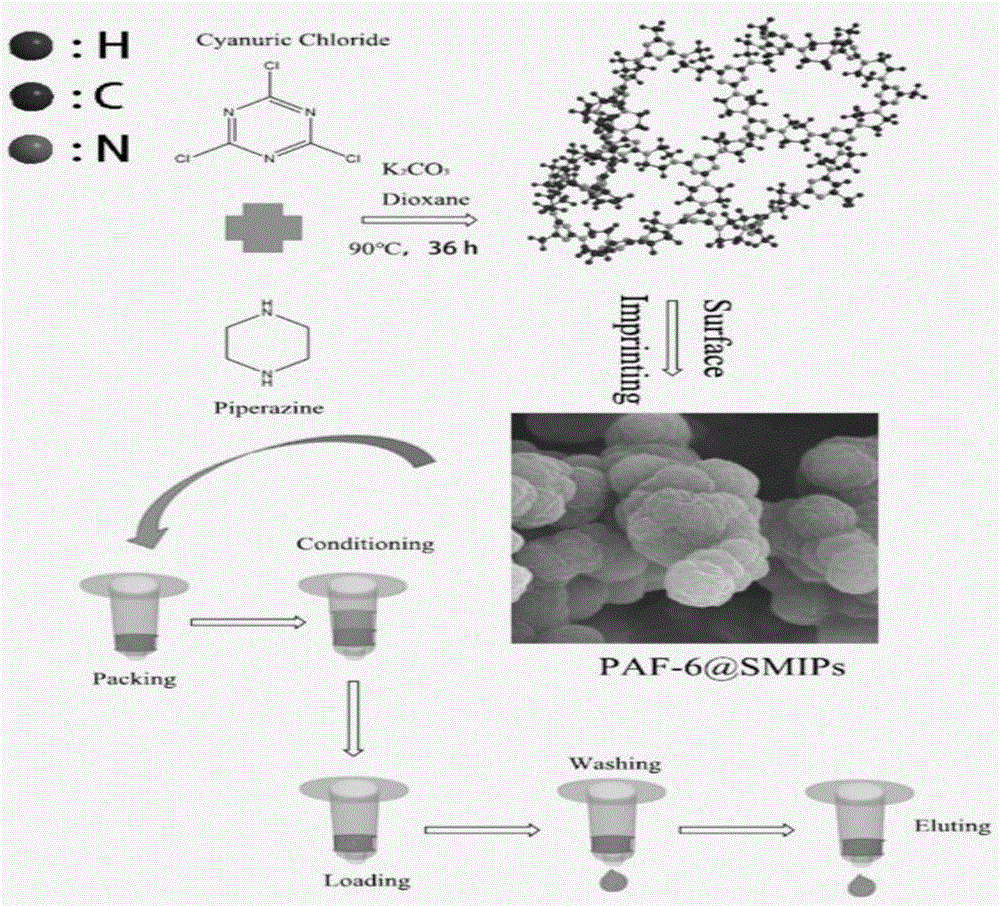 黄曲霉毒素多孔芳香族骨架PAF-6分子印迹材料及其应用