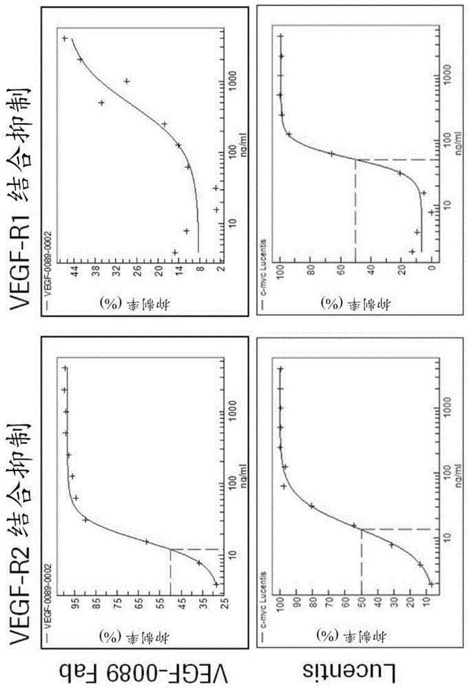 用于改善抗VEGF抗体对VEGF与VEGF-R1的结合的抑制的方法与流程