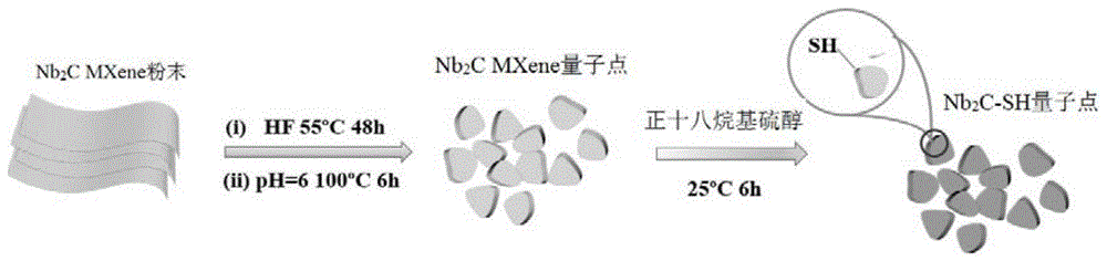 一种SPR传感器芯片及其制备方法