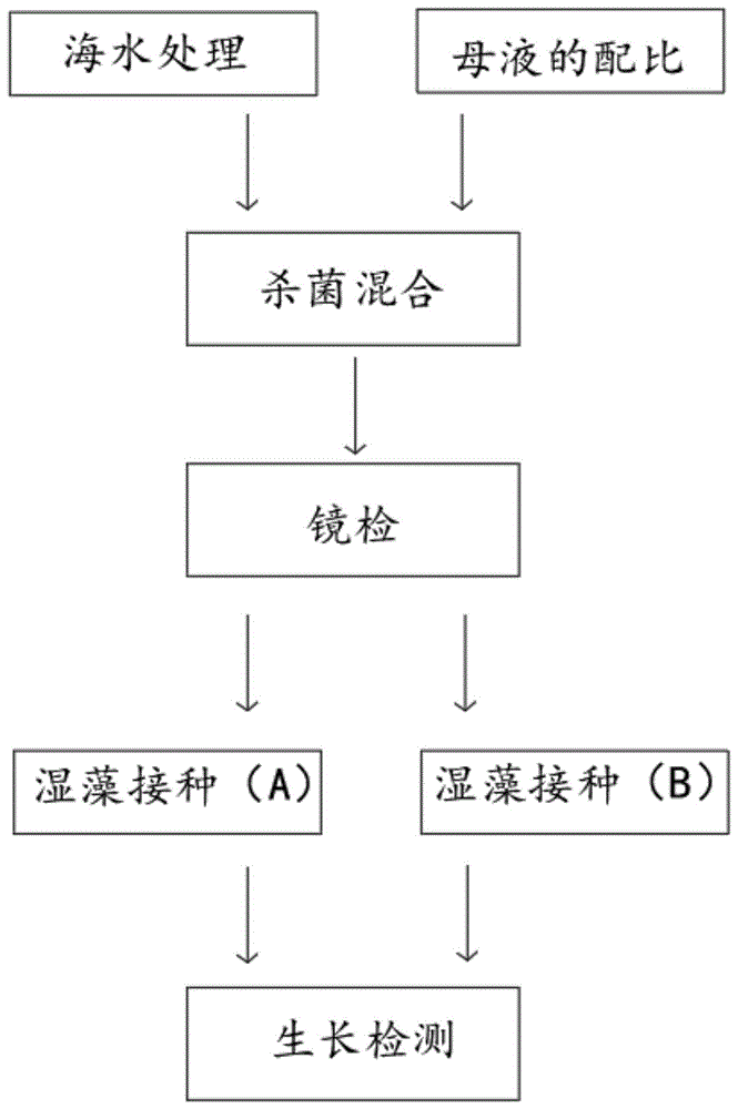 利用海水促进雨生红球藻细胞生长繁殖的培养基及制备方法与流程