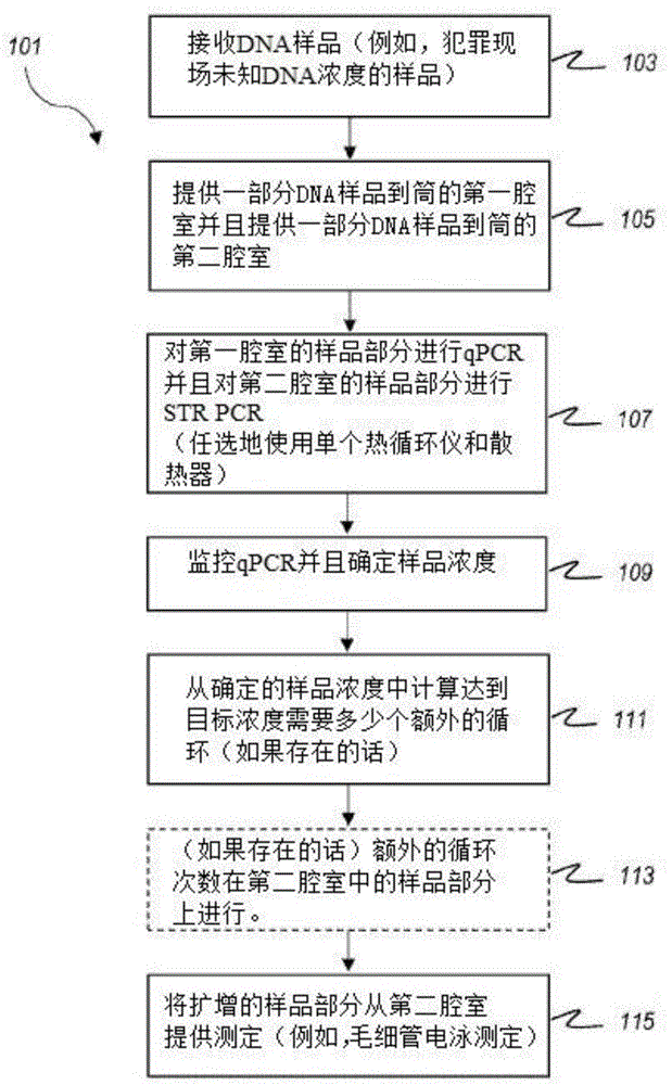 控制用于STR分析的DNA浓度的制作方法