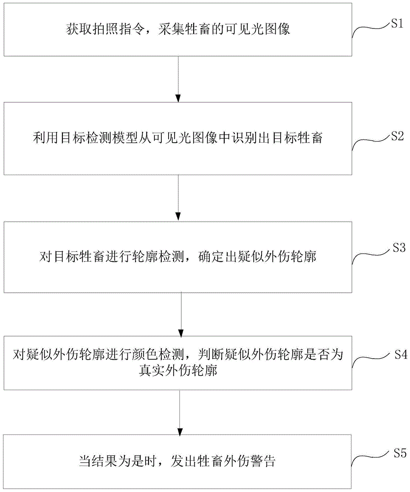 一种牲畜外伤检测方法、装置、设备和存储介质