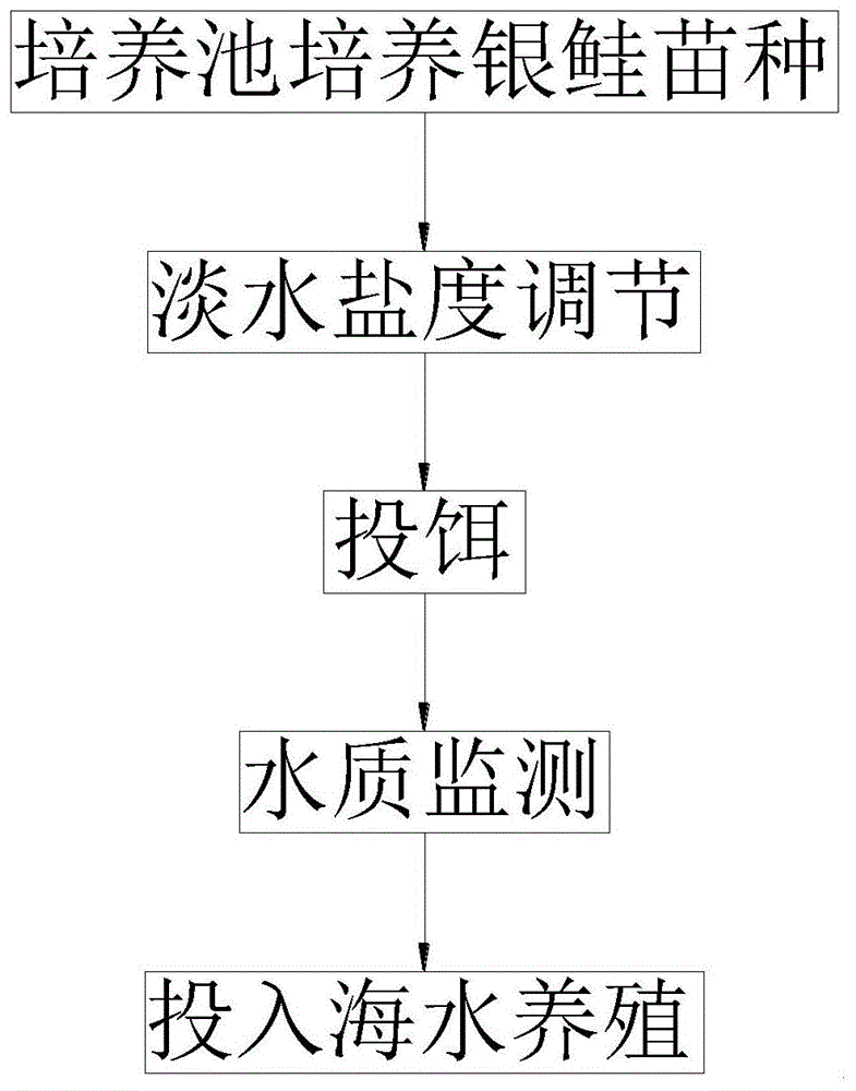 一种淡水养殖银鲑苗种的降海驯化培育方法与流程