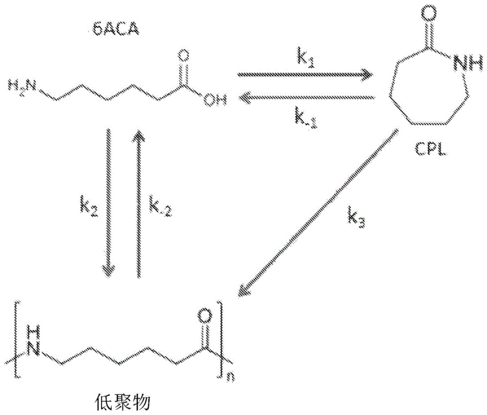 用于由6-氨基己酸生产ε己内酰胺的方法与流程