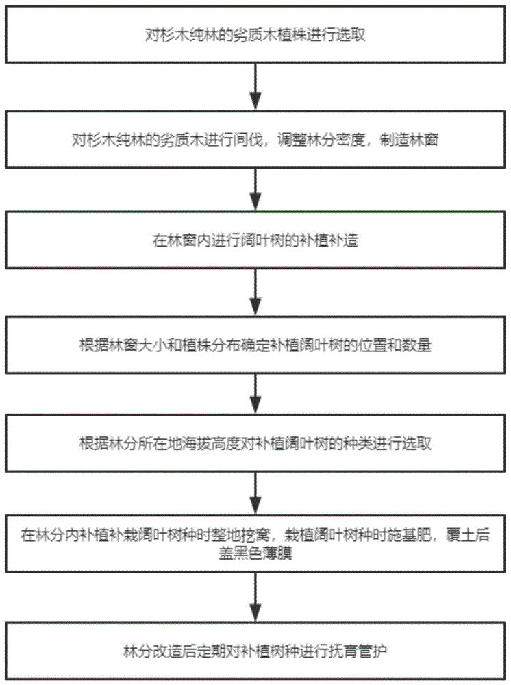 一种杉木纯林改造成杉阔混交林的方法与流程