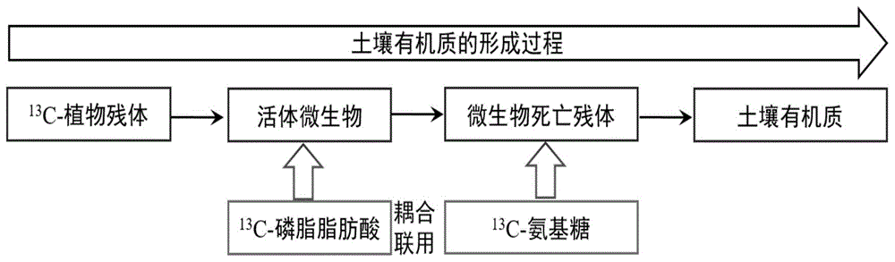 一种微生物对土壤有机质形成作用的评价方法