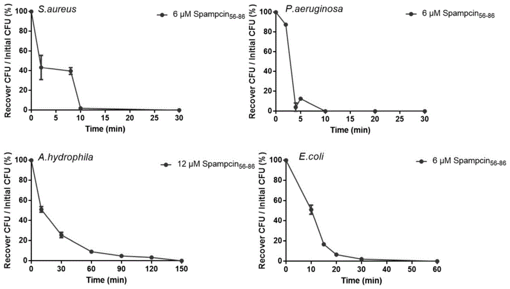 拟穴青蟹抗菌多肽Spampcin56-86及其应用