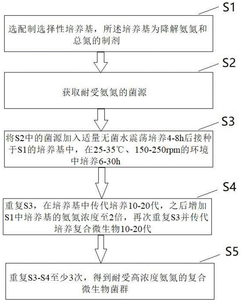 一种降解氨氮和总氮的制剂及其制备方法与流程