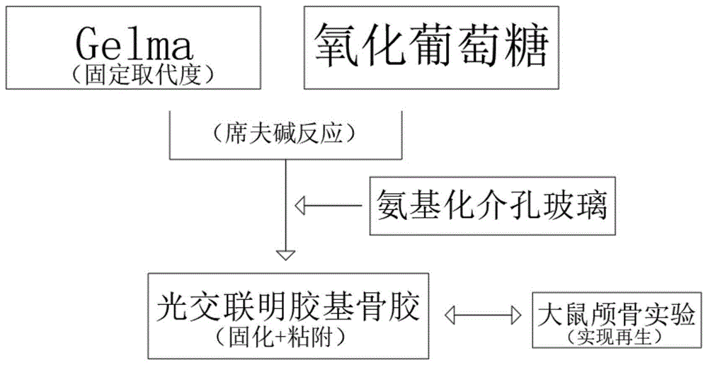 黏附性和骨诱导性的光交联明胶基骨胶制备方法