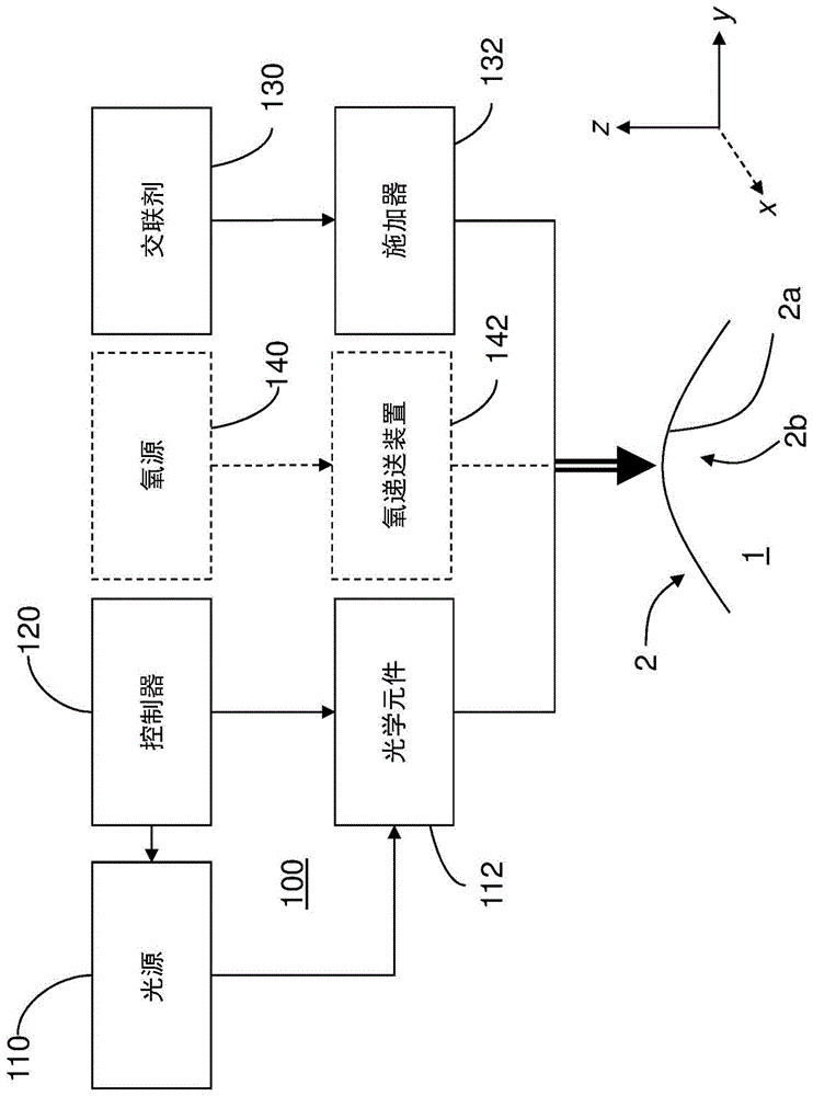 用于角膜交联治疗的光活化系统及方法与流程