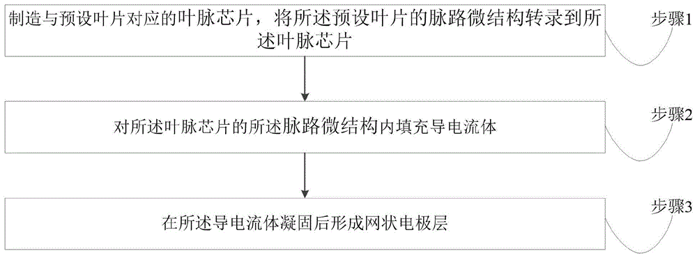 一种高电导效率的自然仿生学脉网状电极制备方法