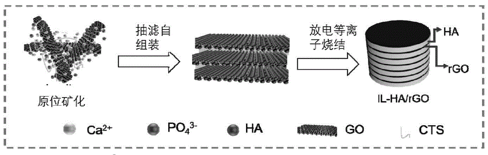 仿贝壳结构织构生物陶瓷及制备方法和其在成骨方面的应用