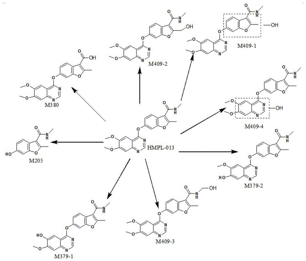 一种呋喹替尼衍生物、药物组合物和用途
