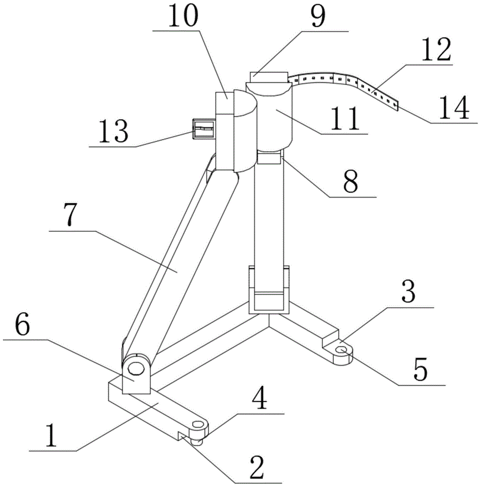 一种园林树木移栽用支撑固定装置的制作方法