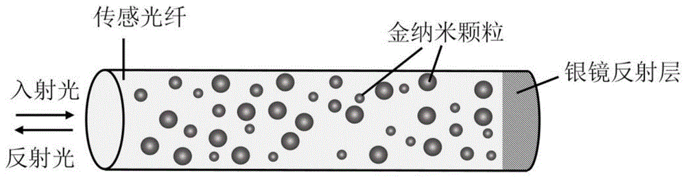 一种基于金纳米复合材料光纤的反射式葡萄糖传感器及测量系统