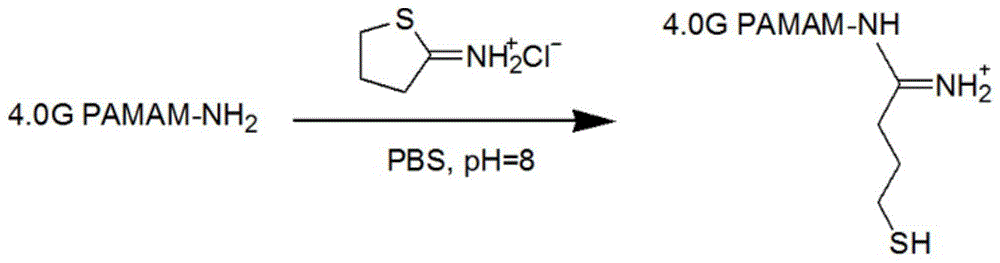 一种活性氧响应性材料PAM-SH的制备方法与应用