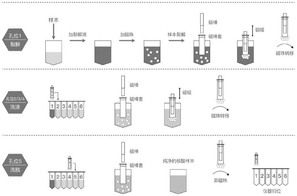 背景技术:目前,核酸(例如dna或者rna)的提取主要采用离心柱法和磁珠法