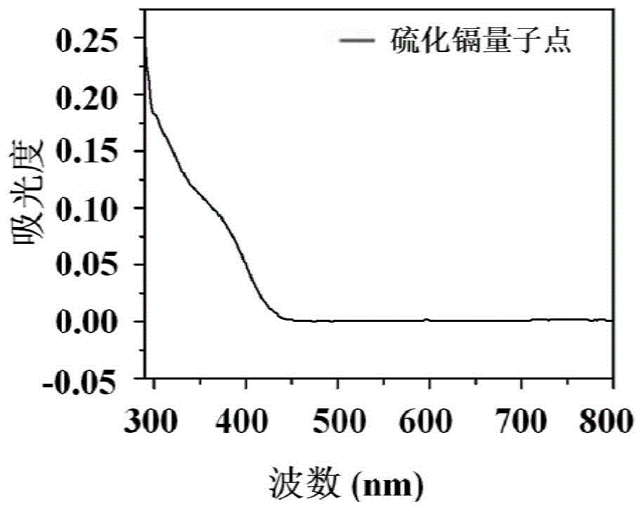 一种硫化镉量子点的制备方法及应用