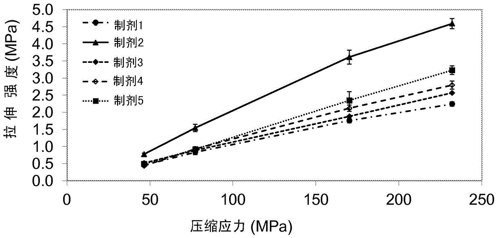 Rucaparib的高剂量强度片剂的制作方法