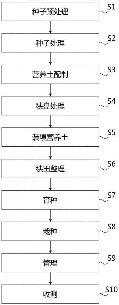 高海拔水稻种植方法与流程