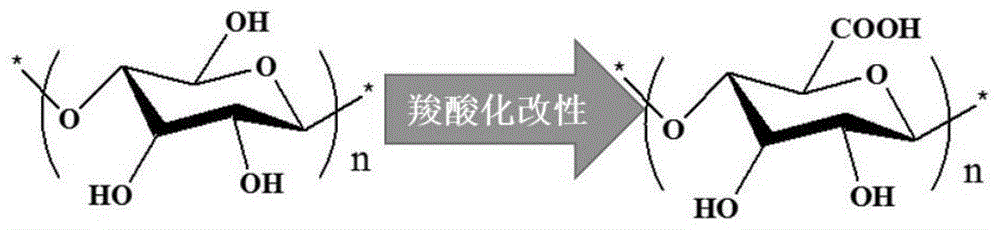 一种纳米纤维素洗涤剂、其制备方法和应用