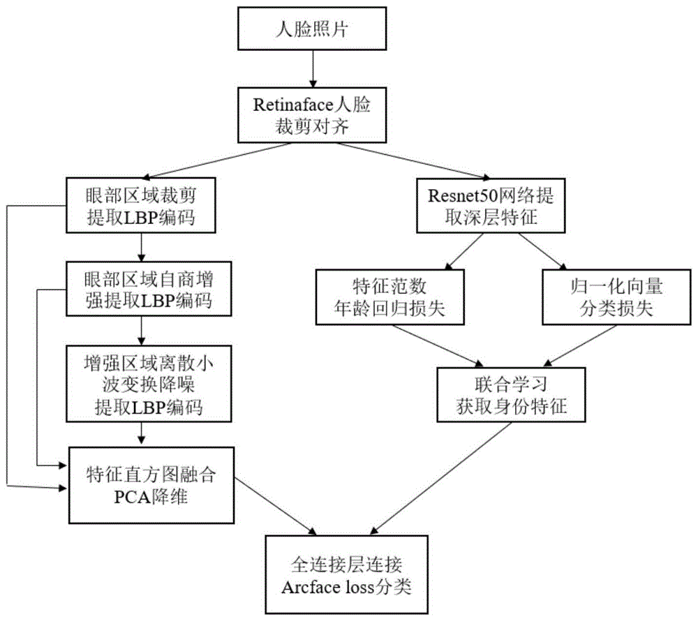 一种基于特征融合的跨年龄人脸识别方法