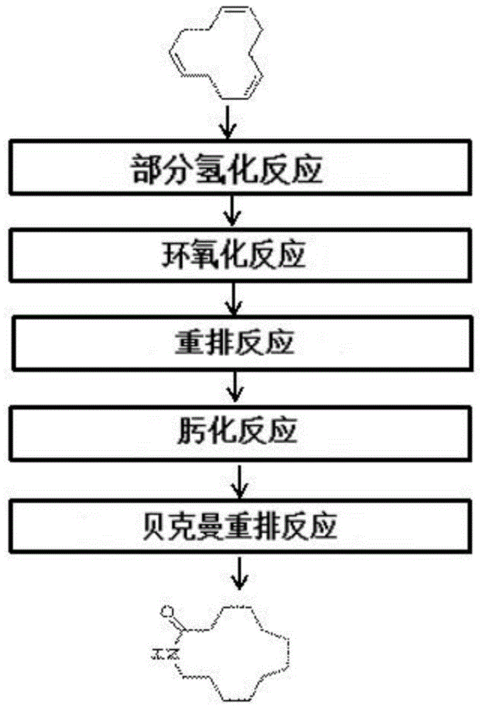 新型十二内酰胺制备方法及合成装置与流程