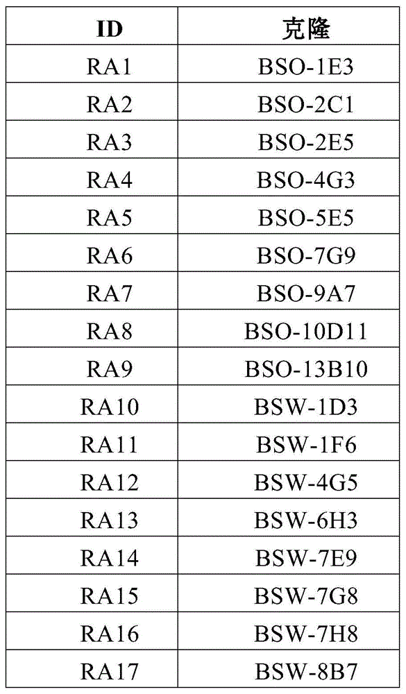 IL-11RA抗体